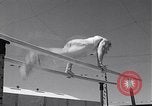Immagine di Xxii svizzero di ginnastica americano San Francisco California USA, 1954, secondo 28 filmato di repertorio 65675030300