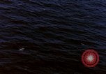 Standbild S-2E Flugzeuge Tropfen Torpedo Guantanamo Bay Kuba, 1966, aus Sekunde 38 historischem Filmmaterial Videoclip 65675030330