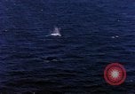 Standbild S-2E Flugzeuge Tropfen Torpedo Guantanamo Bay Kuba, 1966, aus Sekunde 56 historischem Filmmaterial Videoclip 65675030330