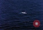 Standbild S-2E Flugzeuge Tropfen Torpedo Guantanamo Bay Kuba, 1966, aus Sekunde 57 historischem Filmmaterial Videoclip 65675030330