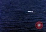 Standbild S-2E Flugzeuge Tropfen Torpedo Guantanamo Bay Kuba, 1966, aus Sekunde 58 historischem Filmmaterial Videoclip 65675030330