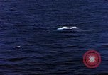 Standbild S-2E Flugzeuge Tropfen Torpedo Guantanamo Bay Kuba, 1966, aus Sekunde 59 historischem Filmmaterial Videoclip 65675030330