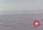 Image USS Charles P Cecil exercices ASW Guantanamo Bay à Cuba, 1966, de la seconde 38 séquences d'archives historiques vidéo 65675030332