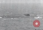 Image missile russe sous-marins Mer Méditerranée, 1969, de la seconde 15 séquences d'archives historiques vidéo 65675030337