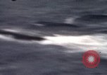 Immagine di Il russo Z sommergibili classe Caraibi, 1970, secondo 6 filmato di repertorio 65675030342