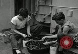 Standbild USS Frament DE-677 Atlantik, 1943, aus Sekunde 12 historischem Filmmaterial Videoclip 65675030348