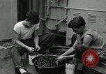 Standbild USS Frament DE-677 Atlantik, 1943, aus Sekunde 13 historischem Filmmaterial Videoclip 65675030348