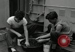 Standbild USS Frament DE-677 Atlantik, 1943, aus Sekunde 15 historischem Filmmaterial Videoclip 65675030348