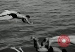 Image Frament USS (ED-677) l'île des Bermudes, 1943, de la seconde 38 séquences d'archives historiques vidéo 65675030350