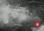 Image Frament USS (ED-677) l'île des Bermudes, 1943, de la seconde 39 séquences d'archives historiques vidéo 65675030350