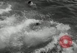 Image Frament USS (ED-677) l'île des Bermudes, 1943, de la seconde 40 séquences d'archives historiques vidéo 65675030350