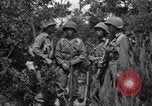 Image of Japanese-American soldiers Italy, 1944, second 7 stock footage video 65675030358