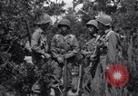 Image of Japanese-American soldiers Italy, 1944, second 8 stock footage video 65675030358