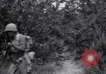 Image of Japanese-American soldiers Italy, 1944, second 30 stock footage video 65675030358