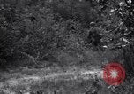 Image of Japanese-American soldiers Italy, 1944, second 37 stock footage video 65675030358
