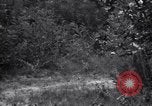 Image of Japanese-American soldiers Italy, 1944, second 38 stock footage video 65675030358