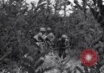 Image of Japanese-American soldiers Italy, 1944, second 40 stock footage video 65675030358