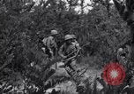Image of Japanese-American soldiers Italy, 1944, second 42 stock footage video 65675030358
