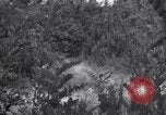 Image of Japanese-American soldiers Italy, 1944, second 45 stock footage video 65675030358