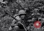 Image of Japanese-American soldiers Italy, 1944, second 59 stock footage video 65675030358