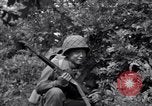 Image of Japanese-American soldiers Italy, 1944, second 62 stock footage video 65675030358