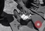 Image of wounded soldiers Italy, 1944, second 26 stock footage video 65675030360