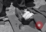 Image of wounded soldiers Italy, 1944, second 30 stock footage video 65675030360