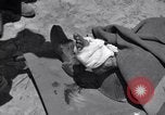 Image of wounded soldiers Italy, 1944, second 32 stock footage video 65675030360
