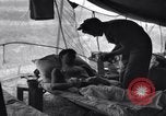 Image of US 3rd Battalion aid station Italy, 1944, second 59 stock footage video 65675030361