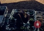 Standbild Thanksgiving Day essen Vietnam, 1965, aus Sekunde 45 historischem Filmmaterial Videoclip 65675030364