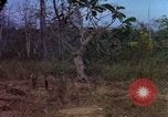 Standbild 173D Airborne Brigade Ankhe Süd Vietnam, 1966, aus Sekunde 38 historischem Filmmaterial Videoclip 65675030369