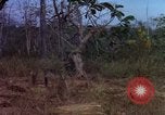 Standbild 173D Airborne Brigade Ankhe Süd Vietnam, 1966, aus Sekunde 39 historischem Filmmaterial Videoclip 65675030369