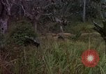 Standbild 173D Airborne Brigade Ankhe Süd Vietnam, 1966, aus Sekunde 40 historischem Filmmaterial Videoclip 65675030369