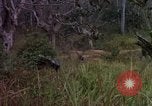 Standbild 173D Airborne Brigade Ankhe Süd Vietnam, 1966, aus Sekunde 41 historischem Filmmaterial Videoclip 65675030369