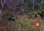 Standbild 173D Airborne Brigade Ankhe Süd Vietnam, 1966, aus Sekunde 42 historischem Filmmaterial Videoclip 65675030369