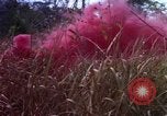 Standbild 173D Airborne Brigade Ankhe Süd Vietnam, 1966, aus Sekunde 43 historischem Filmmaterial Videoclip 65675030369