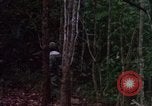Standbild 173D Airborne Brigade Ankhe Süd Vietnam, 1966, aus Sekunde 53 historischem Filmmaterial Videoclip 65675030369