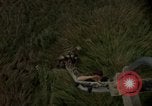 Image of helicopter rappel Ankhe South Vietnam, 1966, second 32 stock footage video 65675030382