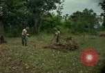 Standbild clearing Brush Ankhe Süd Vietnam, 1965, aus Sekunde 6 historischem Filmmaterial Videoclip 65675030389