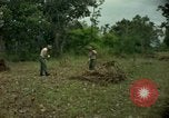 Standbild clearing Brush Ankhe Süd Vietnam, 1965, aus Sekunde 7 historischem Filmmaterial Videoclip 65675030389