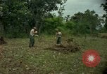 Standbild clearing Brush Ankhe Süd Vietnam, 1965, aus Sekunde 8 historischem Filmmaterial Videoclip 65675030389