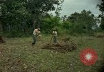 Standbild clearing Brush Ankhe Süd Vietnam, 1965, aus Sekunde 9 historischem Filmmaterial Videoclip 65675030389