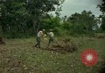 Standbild clearing Brush Ankhe Süd Vietnam, 1965, aus Sekunde 10 historischem Filmmaterial Videoclip 65675030389