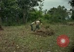 Standbild clearing Brush Ankhe Süd Vietnam, 1965, aus Sekunde 13 historischem Filmmaterial Videoclip 65675030389