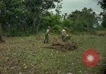 Standbild clearing Brush Ankhe Süd Vietnam, 1965, aus Sekunde 14 historischem Filmmaterial Videoclip 65675030389
