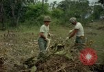 Standbild clearing Brush Ankhe Süd Vietnam, 1965, aus Sekunde 16 historischem Filmmaterial Videoclip 65675030389