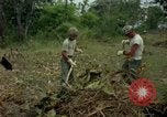 Standbild clearing Brush Ankhe Süd Vietnam, 1965, aus Sekunde 17 historischem Filmmaterial Videoclip 65675030389