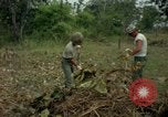 Standbild clearing Brush Ankhe Süd Vietnam, 1965, aus Sekunde 18 historischem Filmmaterial Videoclip 65675030389