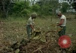 Standbild clearing Brush Ankhe Süd Vietnam, 1965, aus Sekunde 19 historischem Filmmaterial Videoclip 65675030389