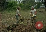 Standbild clearing Brush Ankhe Süd Vietnam, 1965, aus Sekunde 20 historischem Filmmaterial Videoclip 65675030389
